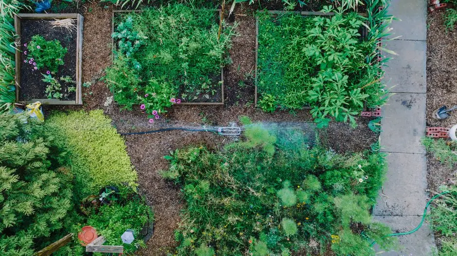 Greens & Outdoors at MAHINDRA KANAKAPURA ROAD BENGALURU, Bangalore