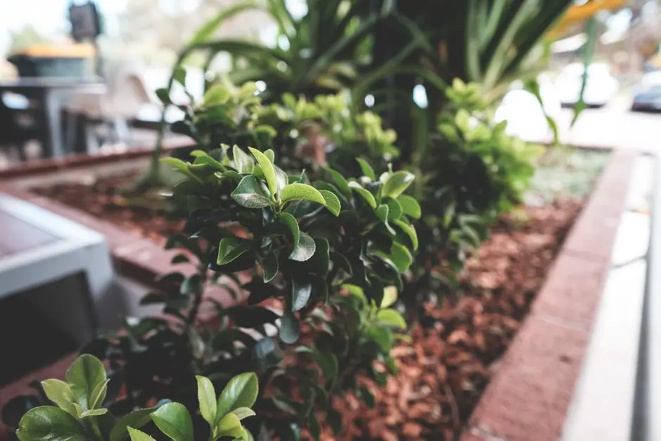 Greens & Outdoors at MAHINDRA IVYLUSH, Kharadi Annex, Pune