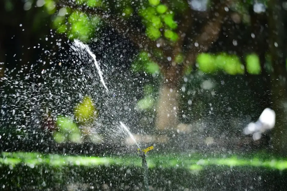 Greens & Outdoors at MAHINDRA LIFESPACES MATUNGA REDEVELOPMENT, Matunga West, Mumbai