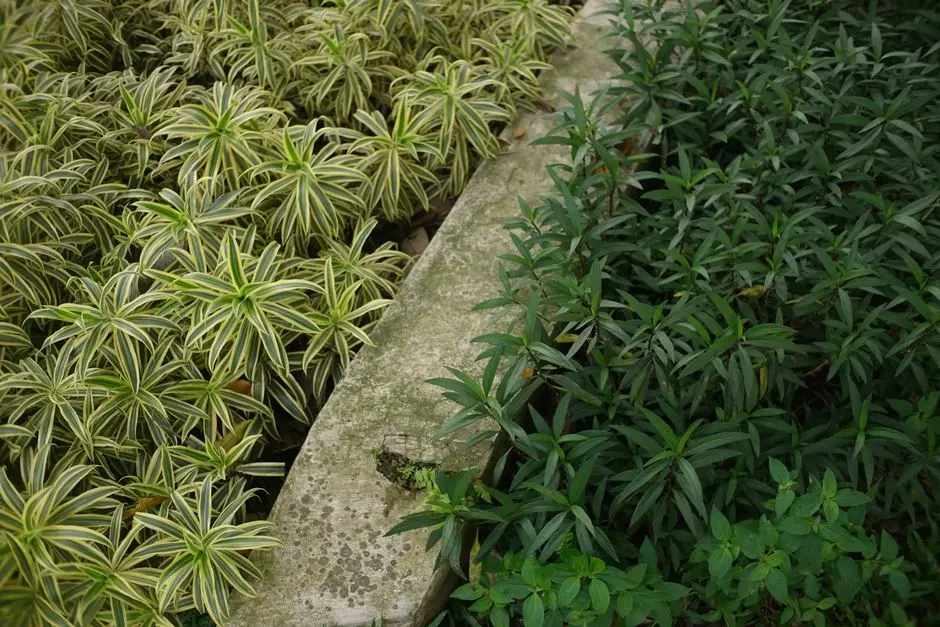 Greens & Outdoors at MAHINDRA ZEN, Singasandra, Bangalore