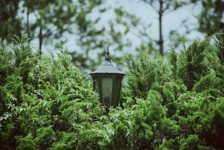 Greens & Outdoors at MAHINDRA HAPPINEST TATHAWADE, Pune