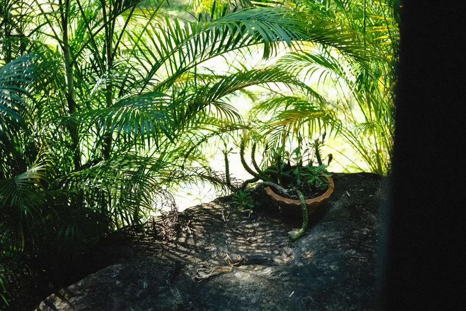 Greens & Outdoors at MAHINDRA LIFESPACES KANDIVALI EAST NEW ACQUISITION, Mumbai