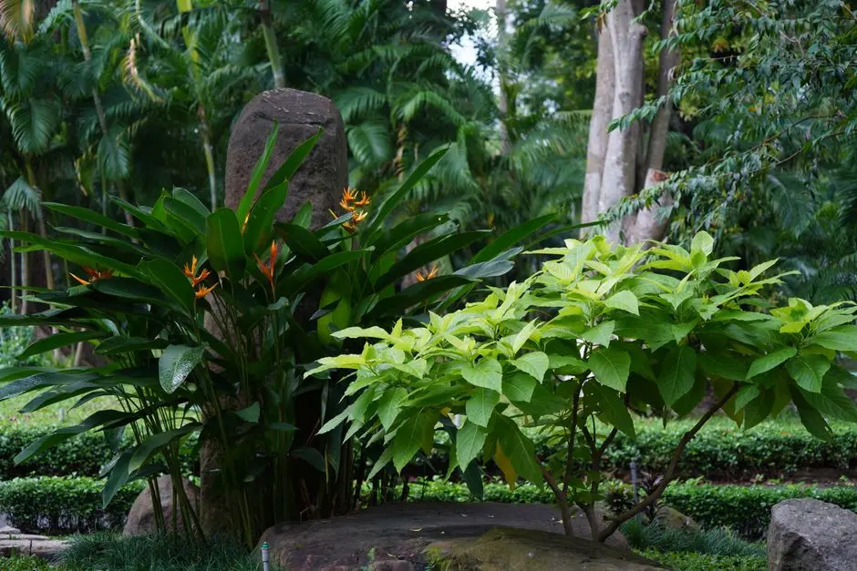Greens & Outdoors at MAHINDRA NESTALGIA, Pimpri, Pune