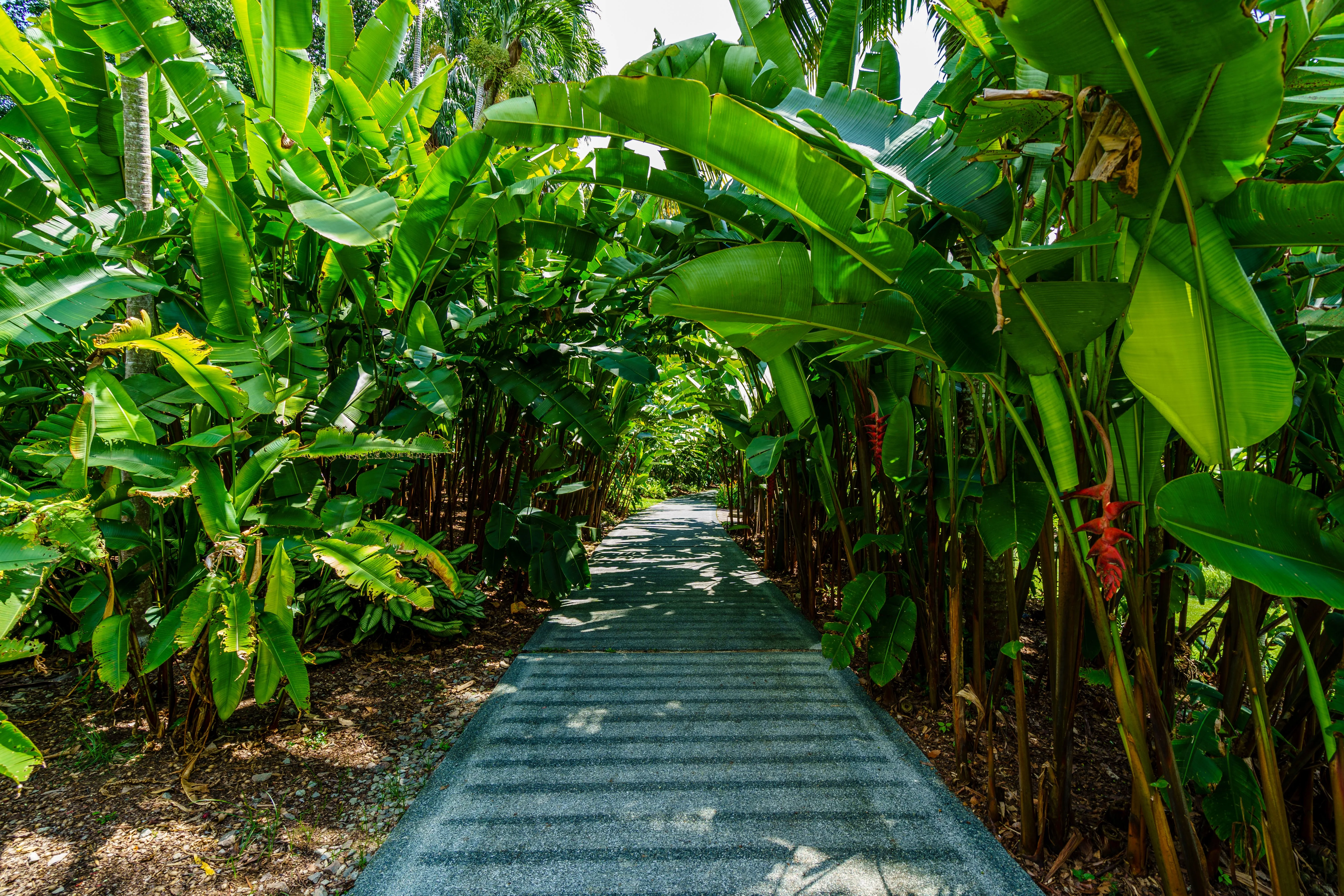 Greens & Outdoors at MAHINDRA MARINA64, Malad West, Mumbai