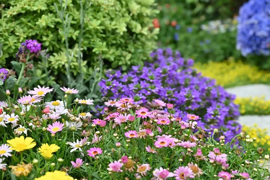 Greens & Outdoors at MAHINDRA LIFESPACES NEHRU NAGAR, Pune