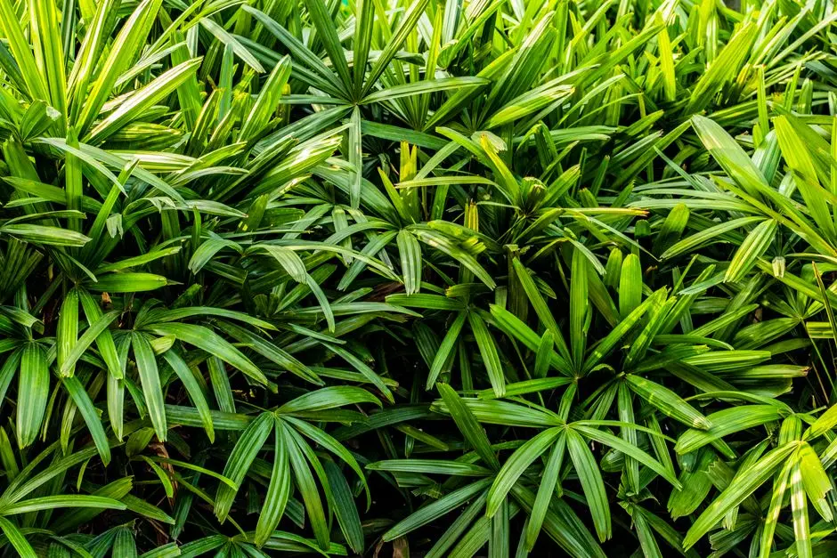 Greens & Outdoors at MAHINDRA LIFESPACES DODDAJALA, Bangalore