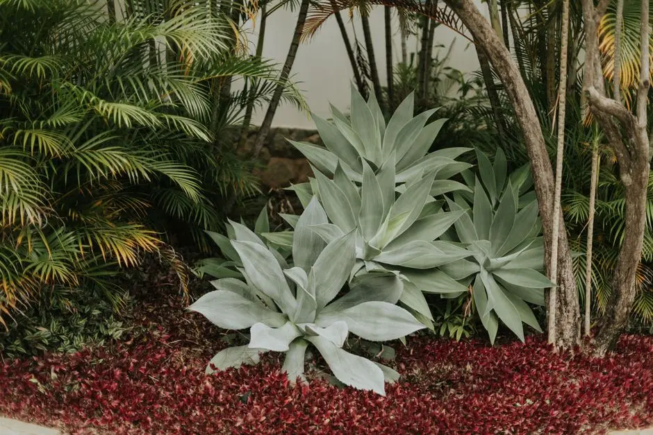 Greens & Outdoors at MAHINDRA VISTA PHASE 2, Kandivali East, Mumbai