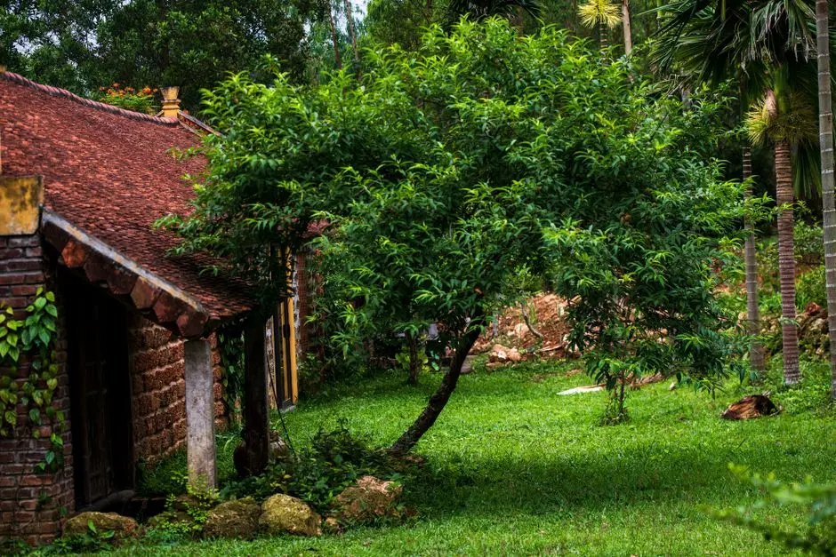 Greens & Outdoors at MAHINDRA NAVARATHNA, Navarathna Agrahara, Bangalore