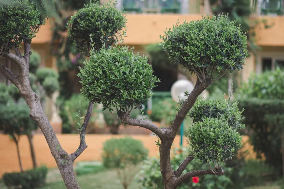 Greens & Outdoors at MAHINDRA VICINO A1 & A2, Gundavali, Mumbai