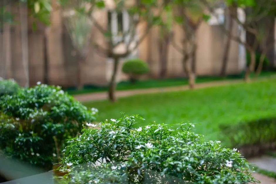 Greens & Outdoors at MAHINDRA ALCOVE WING D AND E, Chandivali, Mumbai