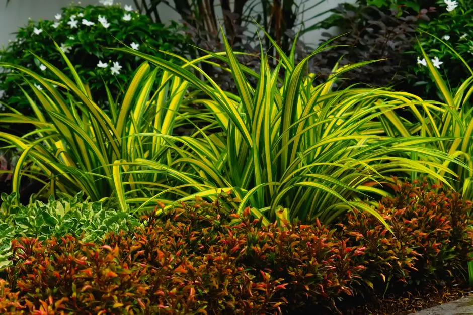 Greens & Outdoors at MAHINDRA LAKEWOODS PHASE IV, Mahindra World City, Chennai