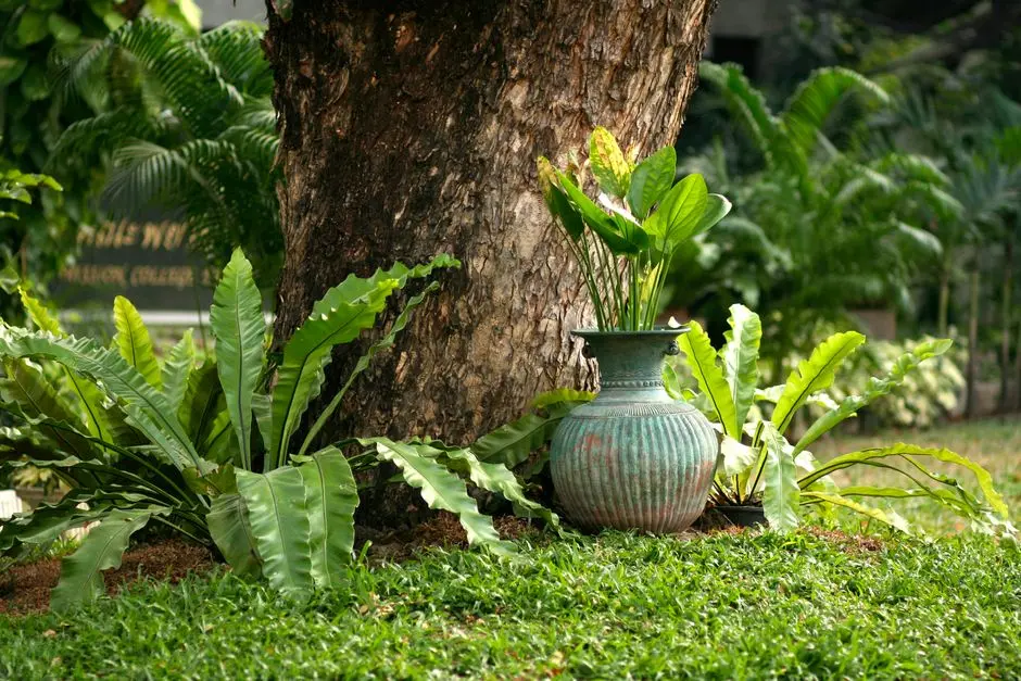 Greens & Outdoors at MAHINDRA NAVRAT, Sadahalli, North Bengaluru
